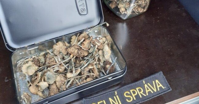 Zdroj: Celní správa České republiky 