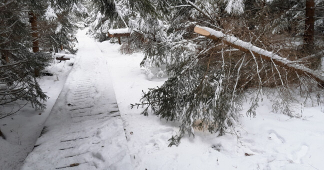 zdroj: CHKO Jeseníky