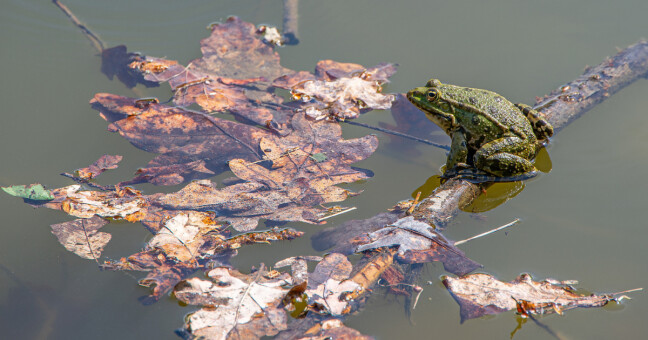 zdroj: město Přerov