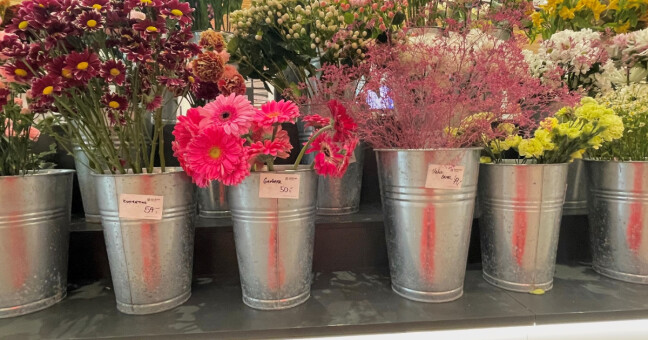 foto: Olomoucký Report