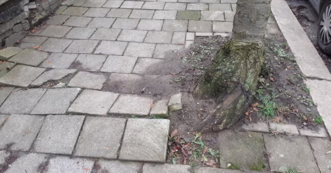 Zdroj: město Olomouc