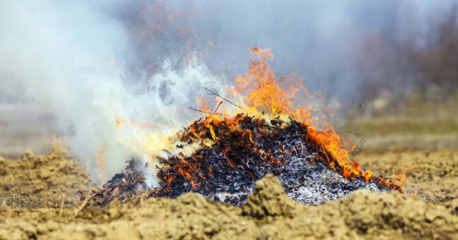 Zdroj: Město Olomouc