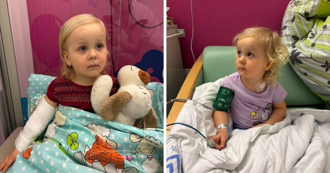 Zdroj: Český národní registr dárců dřeně