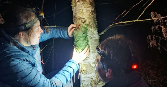 Monitoring začíná chystáním diktafonů, ty jsou připevněny ke stromům, aby zaznamenali ptačí druhy. Zdroj: AOPK