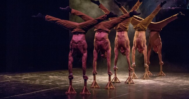 Zdroj: Facebook Losers Cirque Company