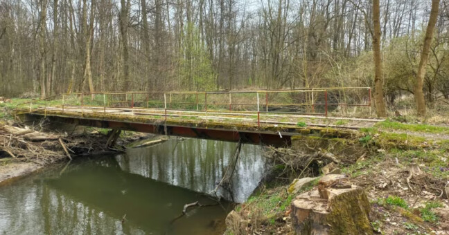 Foto: David Janásek