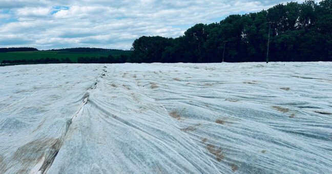 zdroj: Jahodárna Dostálovi