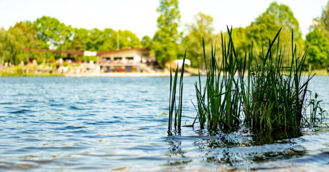 Zdroj: Olomoucký Report