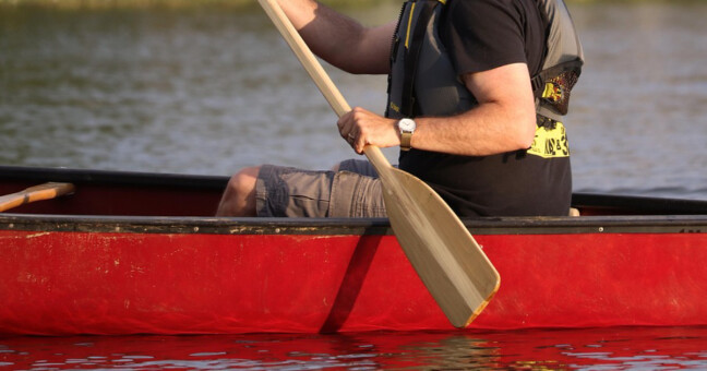 Ilustrační foto, zdroj: Pixabay