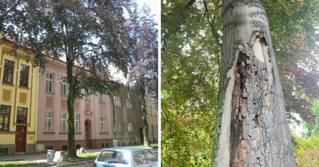 zdroj: město Prostějov