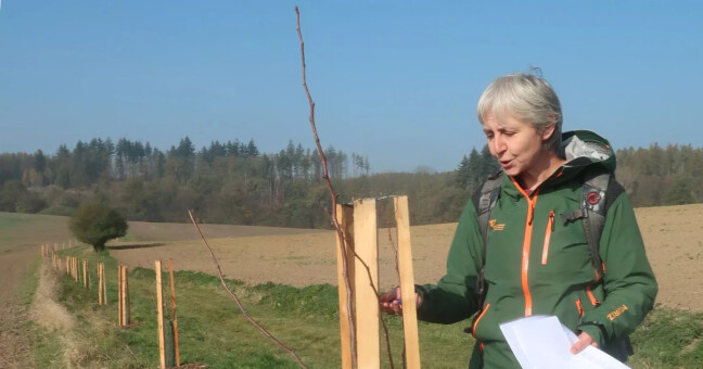 zdroj: Ceny Olomouckého kraje