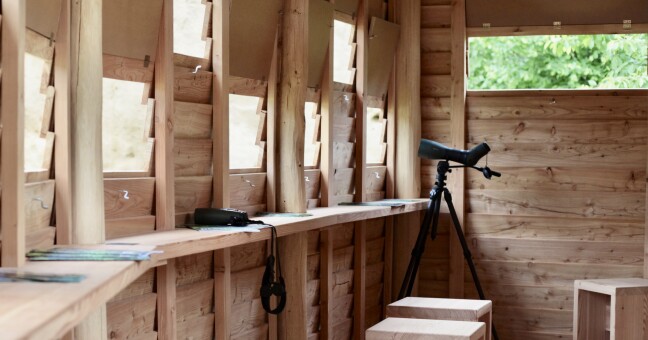 Ptačí pozorovatelna Malá Lipová, zdroj: Report.cz