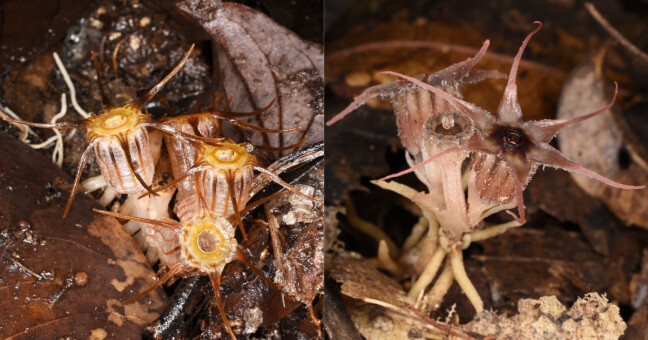 Zdroj: Univerzita Palackého v Olomouci / Michal Hroneš