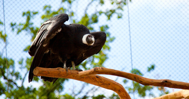 Zdroj: Daniel Vachek