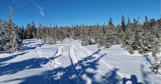 Zdroj: CHKO Jeseníky