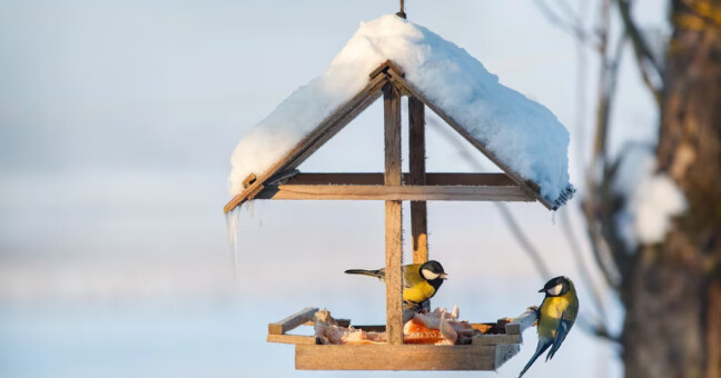 Foto: Depositphotos