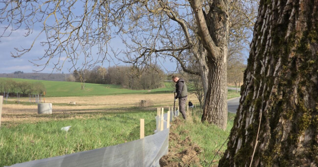Stovky zábran, stovky zachráněných žab. Ve Šternberku pomáhají dobrovolníci