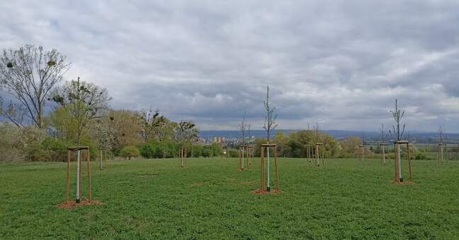 Stejné místo dnes, v roce 2024 a v roce 2021; zdroj: MMOL