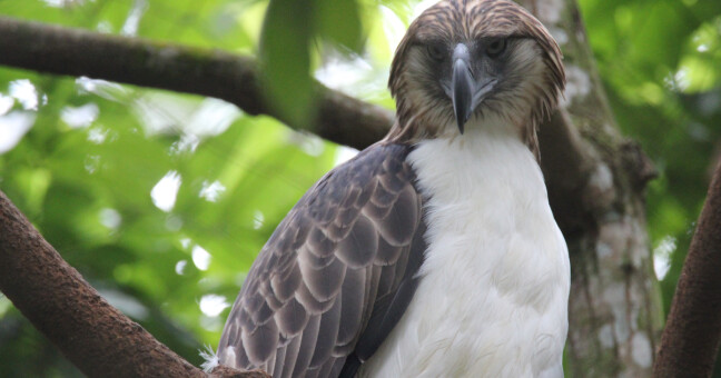 zdroj: Zoo Olomouc