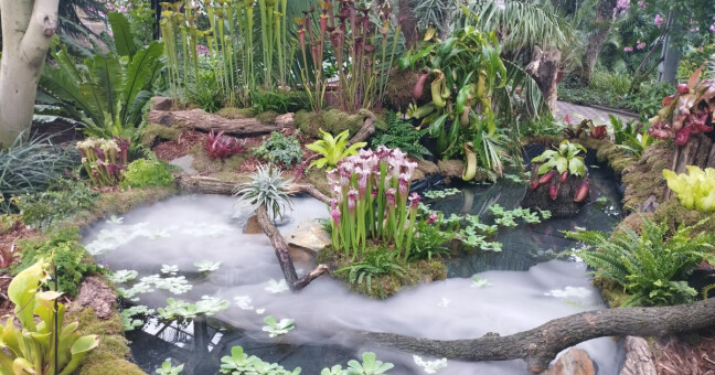 zdroj: Výstaviště Flora Olomouc