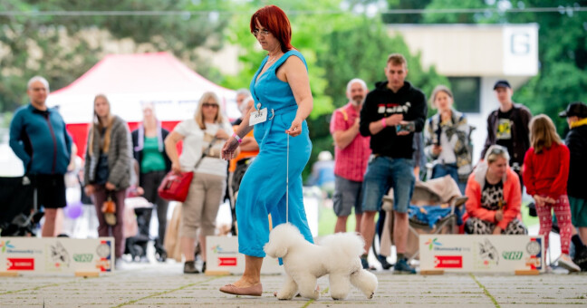 zdroj: Florinka Olomouc (Nikol Kopp)