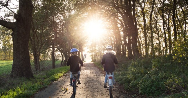 Cyklotoulky Jesenickem: Moravská stezka zavede cyklisty k Lesnímu baru i Priessnitzovým lázním