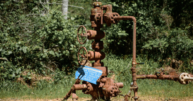 Ilustrační foto Pixabay.com