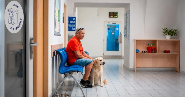 Na úřad i se čtyřnohým parťákem. Zábřeh vítá domácí mazlíčky