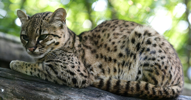 zdroj: Zoo Olomouc
