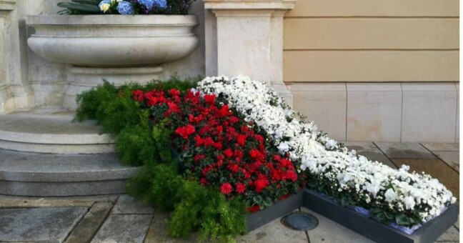 Zdroj: Město Olomouc