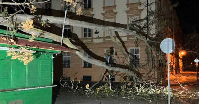 zdroj: MP Olomouc