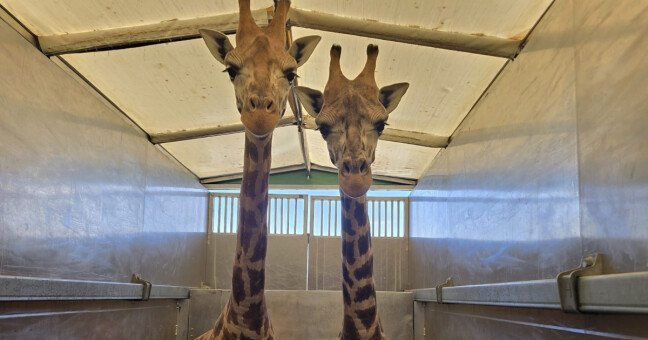 zdroj: Zoo Olomouc