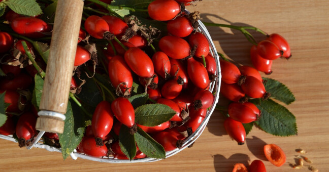 zdroj: Pixabay