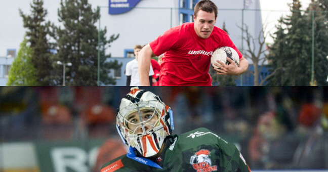 zdroj: Jan Procházka, Alena Zapletalová
