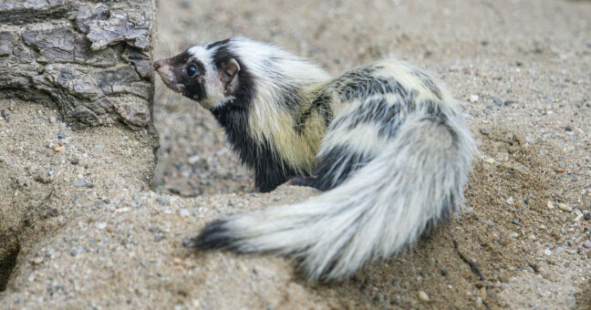 zdroj: Zoo Olomouc