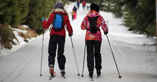 Ilustrační foto, zdroj: Pixabay.com