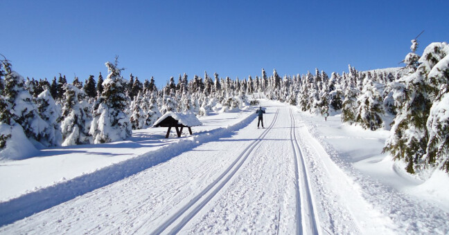 Ilustrační foto: olkraj.cz
