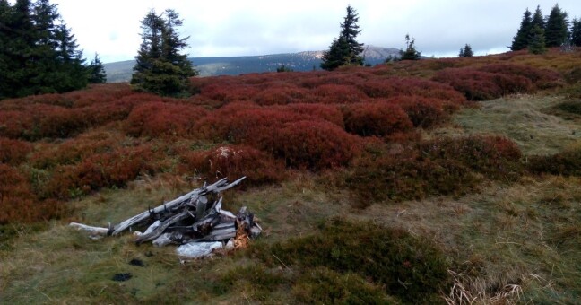 Zdroj: CHKO Jeseníky 