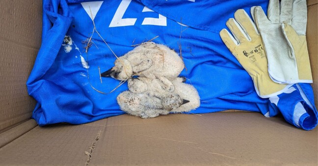 Zdroj: HZS Olomouckého kraje 