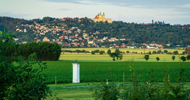 Ilustrační foto | zdroj: pixabay.com