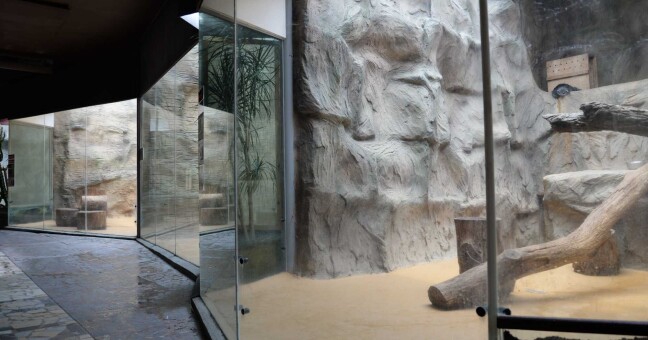 zdroj: Zoo Olomouc