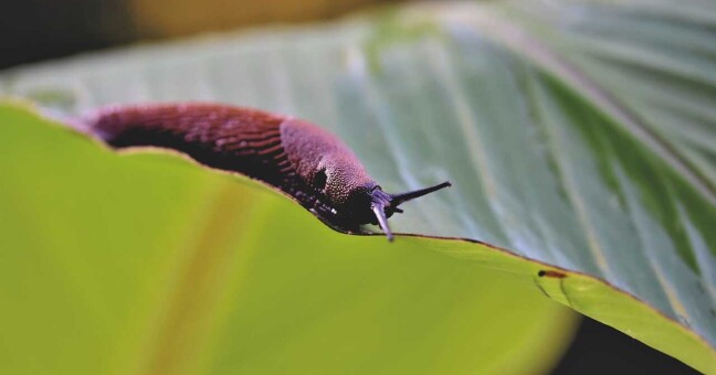 Ilustrační foto: pixabay.com