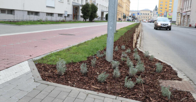 zdroj: město Přerov