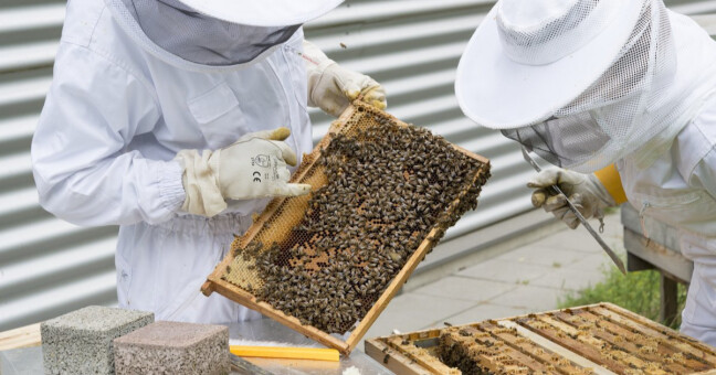 Ilustrační foto, zdroj: Olomoucký kraj