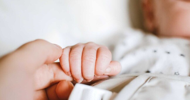 Ilustrační foto: pexels.com