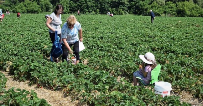 Zdroj: Magistrát města Olomouce 