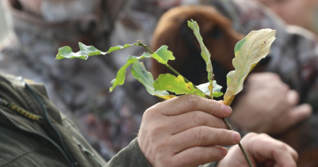 zdroj: město Olomouc