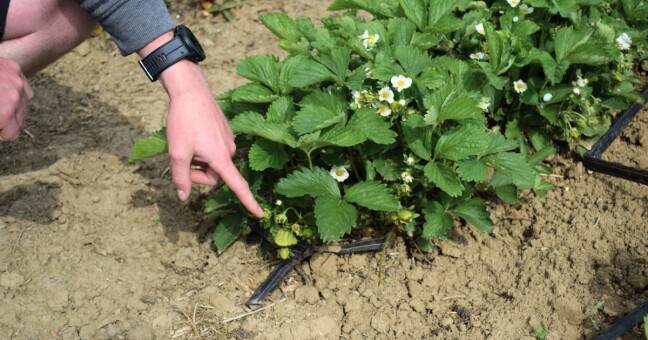 foto: Olomoucký Report