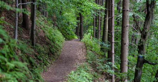 zdroj: město Zábřeh