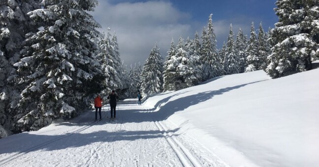 Zdroj: Ceny Olomouckého kraje 